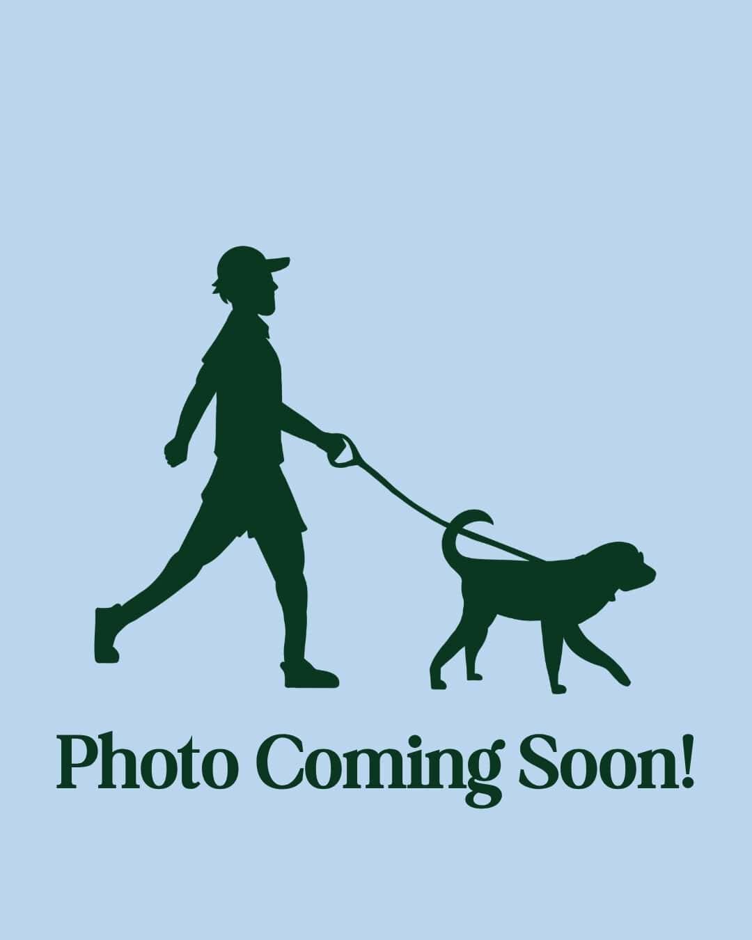 oung man in a Bethesda Dog Walkers T-shirt kneeling on grass with a large, fluffy black and white dog. Both are looking at the camera. The dog is sitting calmly, and the setting appears to be a sunny day in a residential yard or park.
