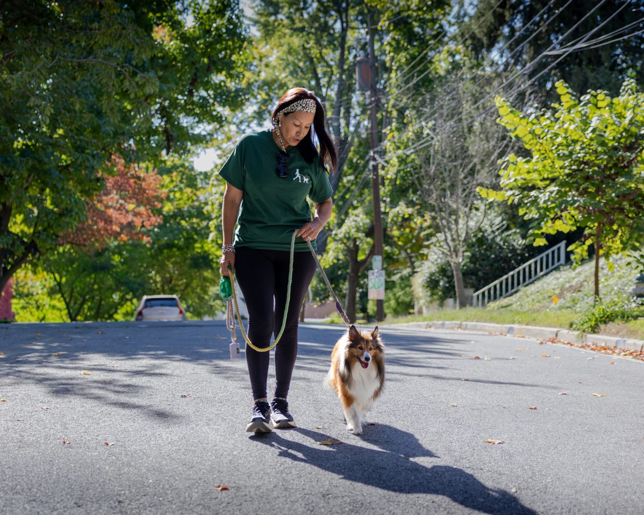 Bethesda Dog Walkers team member walking a dog on a leafy neighborhood street